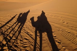 Från Marrakech: 3 dagar i Sahara Luxey Camp