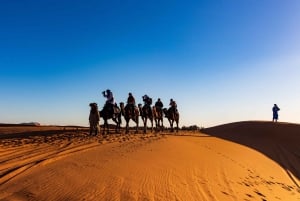 From Marrakech: 4-Day 3-Night Desert Adventure to Fes