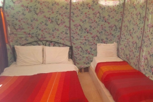 Från Marrakech: 4 dagars/3 nätters ökenäventyr till Fes