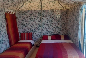 Från Marrakech: 4 dagars/3 nätters ökenäventyr till Fes