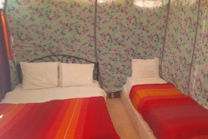 Van Marrakech: 4-daags/3-nacht woestijnavontuur naar Fes