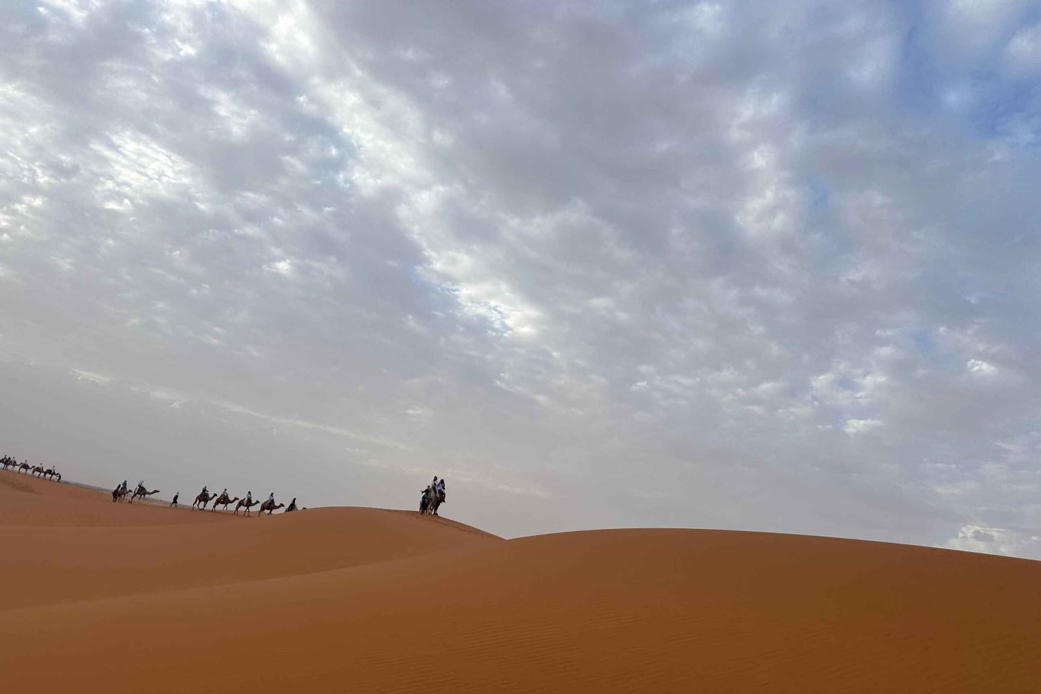 Da Marrakech: 4 giorni di giro in cammello e campeggio nel Sahara