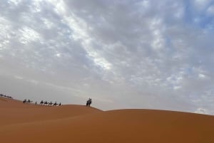 Da Marrakech: 4 giorni di giro in cammello e campeggio nel Sahara
