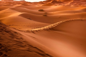 Da Marrakech: Tour privato di 4 giorni nel deserto a Merzouga
