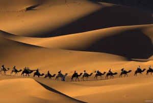 Da Marrakech: Tour privato di 4 giorni nel deserto a Merzouga