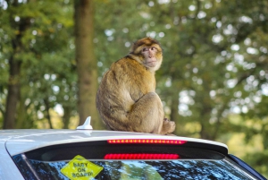 A partir de Marraquexe: viagem de 4 dias pelas cidades imperiais e Chefchaouen