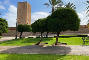 A partir de Marraquexe: viagem de 4 dias pelas cidades imperiais e Chefchaouen