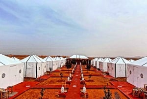 From Marrakech : 4 days desert group tour (luxury camp)