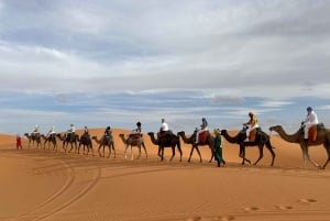 From Marrakech : 4 days desert group tour (luxury camp)