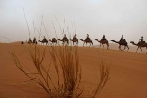 Vanuit Marrakesh: 4 dagen in de woestijn van Merzouga met kameel en quad