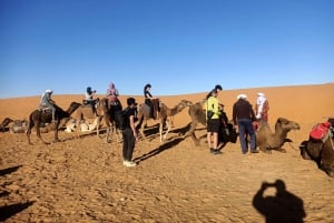 Vanuit Marrakesh: 4 dagen in de woestijn van Merzouga met kameel en quad