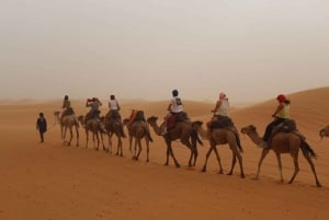 Vanuit Marrakesh: 4 dagen in de woestijn van Merzouga met kameel en quad
