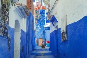 Marrakechista : 4 päivän keisarillinen kaupunkikierros Chefchaouenin kautta