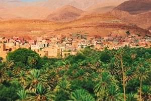 From Marrakech : 4 Days Private Desert To Zagora & Merzouga