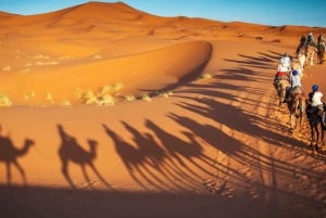 From Marrakech : 4 Days Private Desert To Zagora & Merzouga