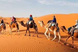 From Marrakech : 4 Days Private Desert To Zagora & Merzouga
