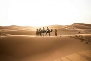 From Marrakech : 4 Days Private Desert To Zagora & Merzouga