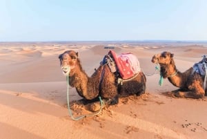 From Marrakech : 4 Days Private Desert To Zagora & Merzouga
