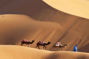 Von Marrakesch: Private 5-tägige Tour nach Zagora und in die Wüste Merzouga