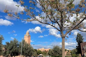 Från Marrakech: Tour 5-dagars äventyr till öknen Merzouga