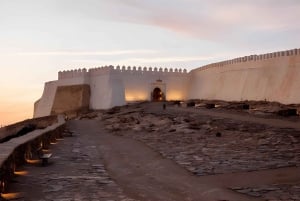 Vanuit Marrakech: Dagtocht Agadir met bezoek aan strand en jachthaven