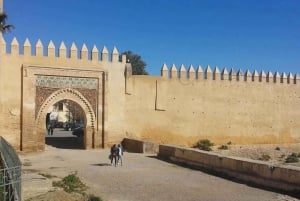 Vanuit Marrakech: Dagtocht Agadir met bezoek aan strand en jachthaven