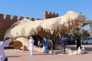 Vanuit Marrakech: Dagtocht Agadir met bezoek aan strand en jachthaven