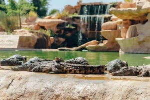 Von Marrakech aus: Agadir Tagestour