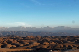 From Marrakech: Agafay Desert Buggy 1Hour & Dinner Show