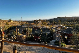From Marrakech: Agafay Desert Buggy 1Hour & Dinner Show