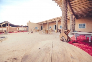 Vanuit Marrakech: Agafay woestijn kamelentocht en diner en show