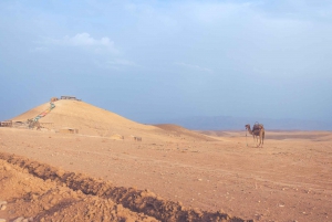 Vanuit Marrakech: Agafay woestijn kamelentocht en diner en show