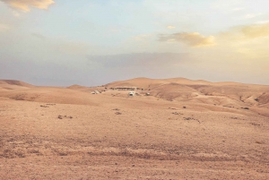 Vanuit Marrakech: Agafay woestijn kamelentocht en diner en show