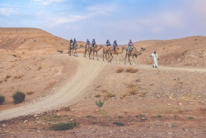Vanuit Marrakech: Agafay woestijn kamelentocht en diner en show