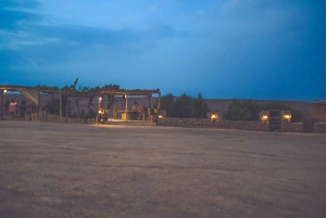 Vanuit Marrakech: Agafay woestijn kamelentocht en diner en show