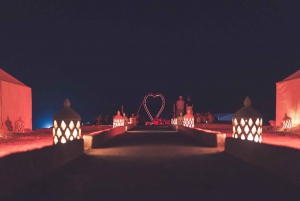 Vanuit Marrakech: Agafay woestijn kamelentocht en diner en show