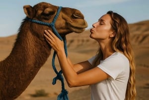 From Marrakech: Agafay Desert Dinner and Optional Camel Ride