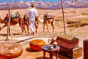 From Marrakech: Agafay Desert Dinner and Optional Camel Ride