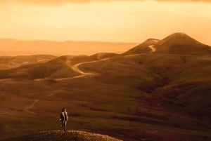 From Marrakech: Agafay Desert Dinner and Optional Camel Ride