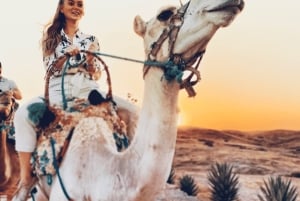 From Marrakech: Agafay Desert Dinner and Optional Camel Ride