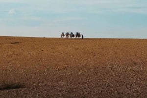 From Marrakech: Agafay Desert Dinner and Optional Camel Ride