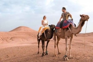 Da Marrakech: Cena nel deserto di Agafay e giro in cammello al tramonto