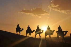 Marrakech: Agafay Desert Quad & Camel Rides and Dinner Show