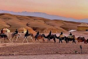 Marrakech: Agafay Desert Quad & Camel Rides and Dinner Show