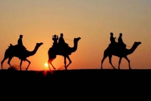 Marrakech: Agafay Desert Quad & Camel Rides and Dinner Show