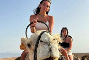 Marrakech: Agafay Desert Premium Dinner Show w/Camel or Quad