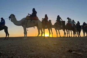 Marrakech: Agafay Desert Premium Dinner Show w/Camel or Quad