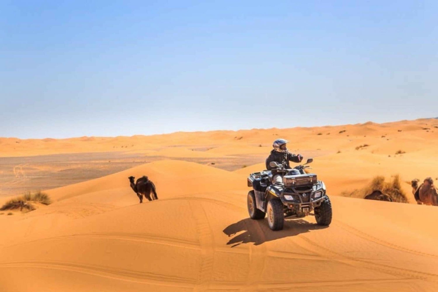 From Marrakech: Agafay Desert Dinner with Quad or Camel Ride