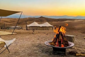 From Marrakech: Agafay Desert Dinner with Quad or Camel Ride