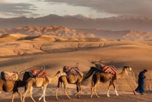 From Marrakech: Agafay Desert Dinner with Quad or Camel Ride